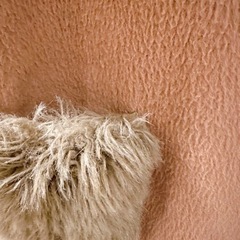 a.g.plusの画像