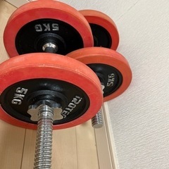 12.5キロ　ダンベルの画像