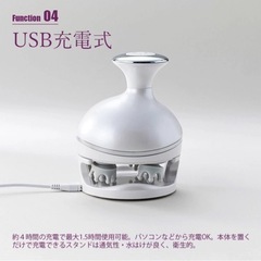 FESTINO の画像