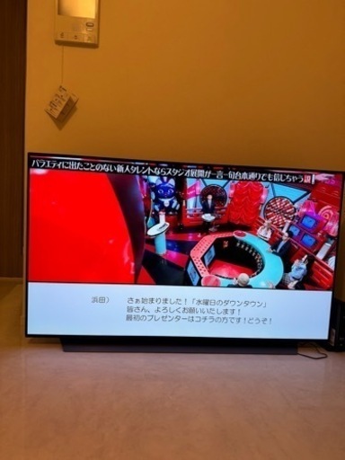 LG 55型　有機EL