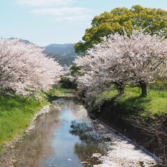 カメラ仲間・友達募集📷