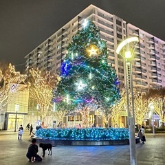 12月23日または24日に食事とイルミネーションをご一緒できる人...