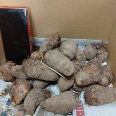 無農薬秋冬野菜の画像