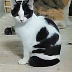 ボクは、男だあ！！