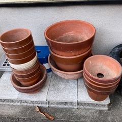 植木鉢②