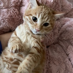 とてもいい子たちです