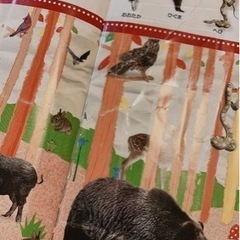 値下げしました！探す絵本おまとめセットとおまけ付きの画像