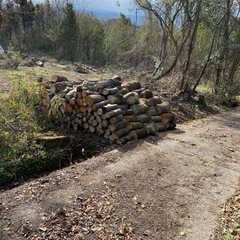 薪もらつて下さいの画像