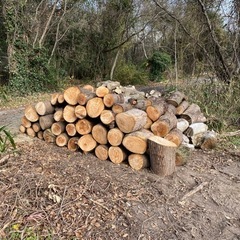 薪もらつて下さいの画像