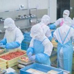 【伏見区】日給1万円以上◎日払い可◎週3～鶏肉加工の補助作業の画像
