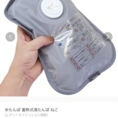 湯たんぽ 充電式 （新品・未使用）の画像