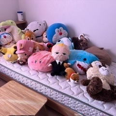 ぬいぐるみ🧸