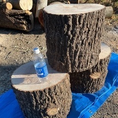 広葉樹（乾燥済み）☆10kg=800円❗️近場は無料配送しますの画像