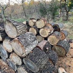 広葉樹（乾燥済み）☆10kg=800円❗️近場は無料配送しますの画像