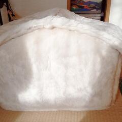 犬猫用ハウスの画像