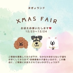 クリスマスフェア　里親募集もあり