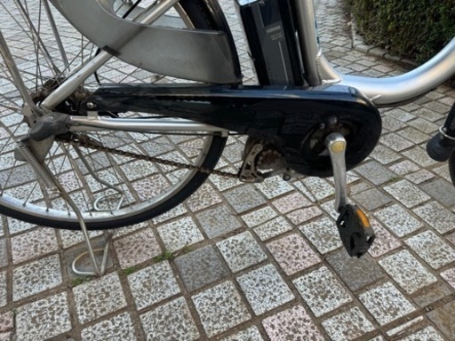 PASナチュラL26