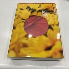 タイヨウのうた　プレミアムエディション　DVD