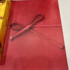 タイヨウのうた　プレミアムエディション　DVDの画像