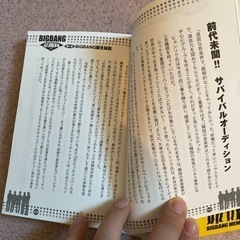 (釧路)(値下げ)ビクバン BIG BANG 見聞録 本の画像