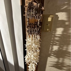貝殻 オーナメント 壁飾り 小鳥小屋 シェル風鈴 オブジェ アジアン雑貨の画像