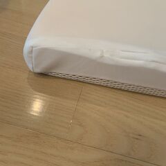トゥルースリーパー