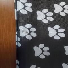 お値下げ【中古】ペット用ドライブシートの画像