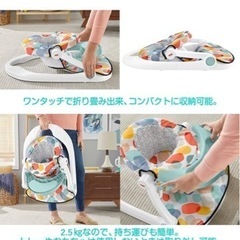 [ほぼ新品]デラックス 2WAYフロアチェア アニマル 【日本正規品】【首すわり~】 GKH29 1個 (x 1)の画像