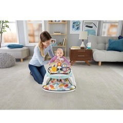 [ほぼ新品]デラックス 2WAYフロアチェア アニマル 【日本正規品】【首すわり~】 GKH29 1個 (x 1)の画像