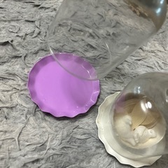 2点ガラスドーム、ミニの画像