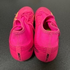 ナイキスパイクの画像