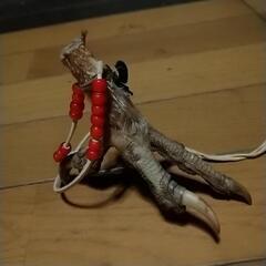 最終値下げ！超！超！希少！鷹の脚！ネックレス！の画像
