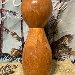 イプヘケ　50cm