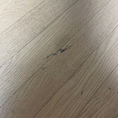 フローリング　調　カーペットの画像