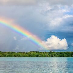 会社の決まりに左右されず、自由に働きたいあなたへ🌈（オンライン起...