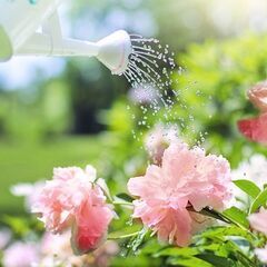 【20～30代限定】起業を目指している方！🌸オンラインコミュニテ...