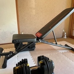 可変式ダンベル　40kg×2個、トレーニングベンチのセットの画像