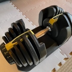 可変式ダンベル　40kg×2個、トレーニングベンチのセットの画像