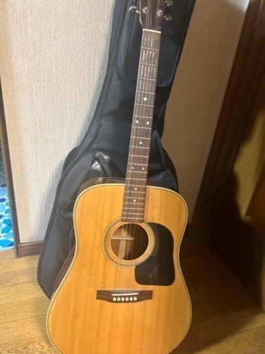 アコギ　ギャラガー