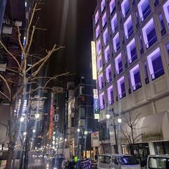 皇居ラン！じゃなくって皇居一周夜散歩、英語で話しながらLanguage exchange 言語交換 - 中央区