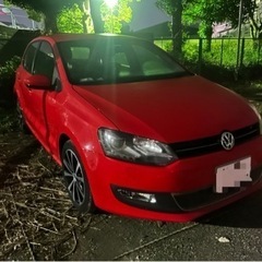 ワーゲン　極上‼️