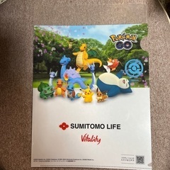 〈未使用〉ポケモンGOクリアファイル