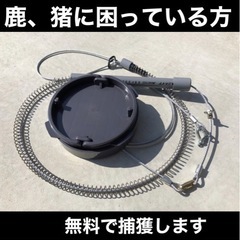 ✴️鹿🐃や猪🐗の獣害にお困りの方✴️