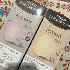 〈未使用〉立体マスク2箱/計100枚の画像