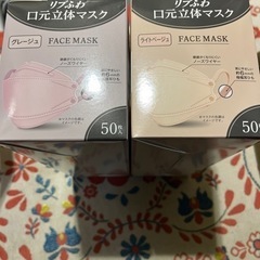 〈未使用〉立体マスク2箱/計100枚の画像