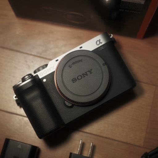 靴/バッグ Sony A7C silver