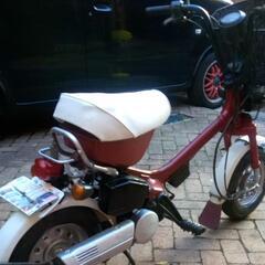 1981ホンダハミングの画像