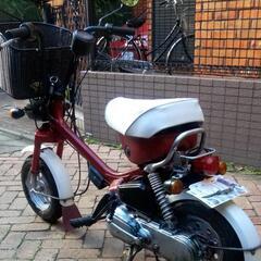 1981ホンダハミングの画像