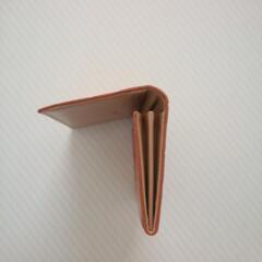 カード入れ　　お値段お下げしました。⤵️の画像