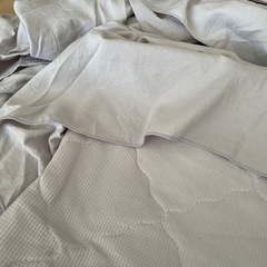 取引予定　ニトリ　敷きパットの画像